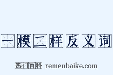 一模二样反义词是什么意思的图片